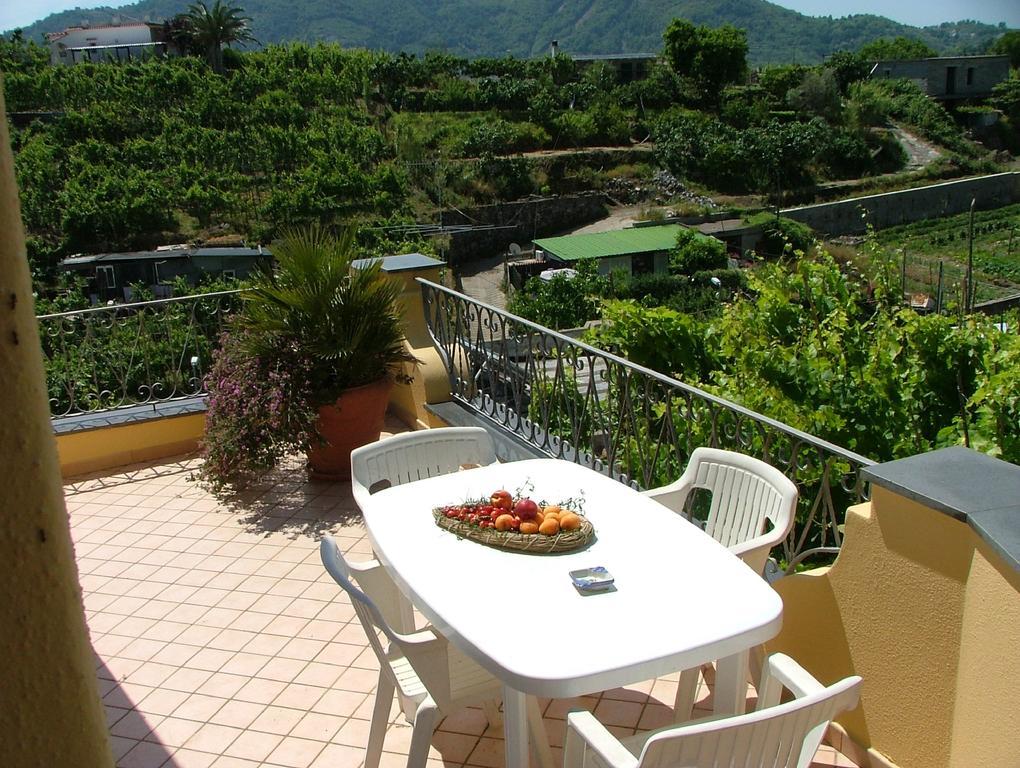 Villa Rosalia Barano dʼIschia Dış mekan fotoğraf