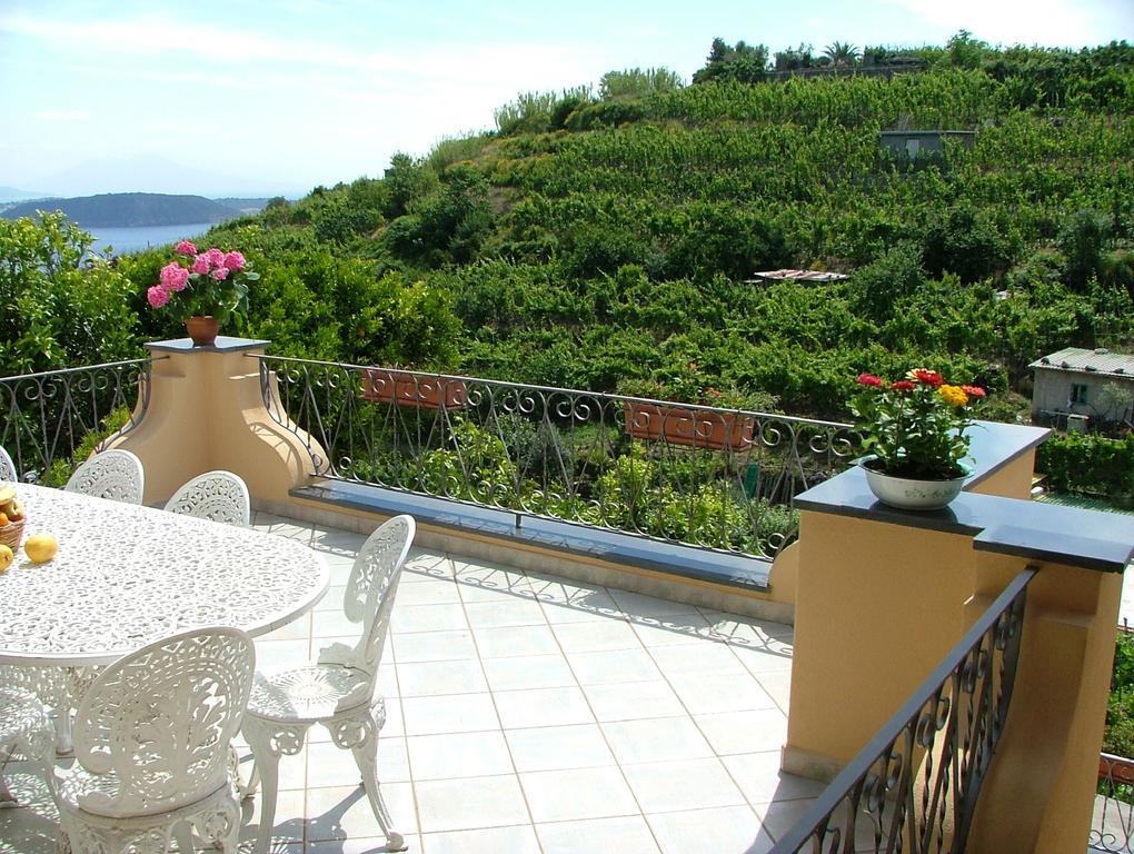 Villa Rosalia Barano dʼIschia Dış mekan fotoğraf